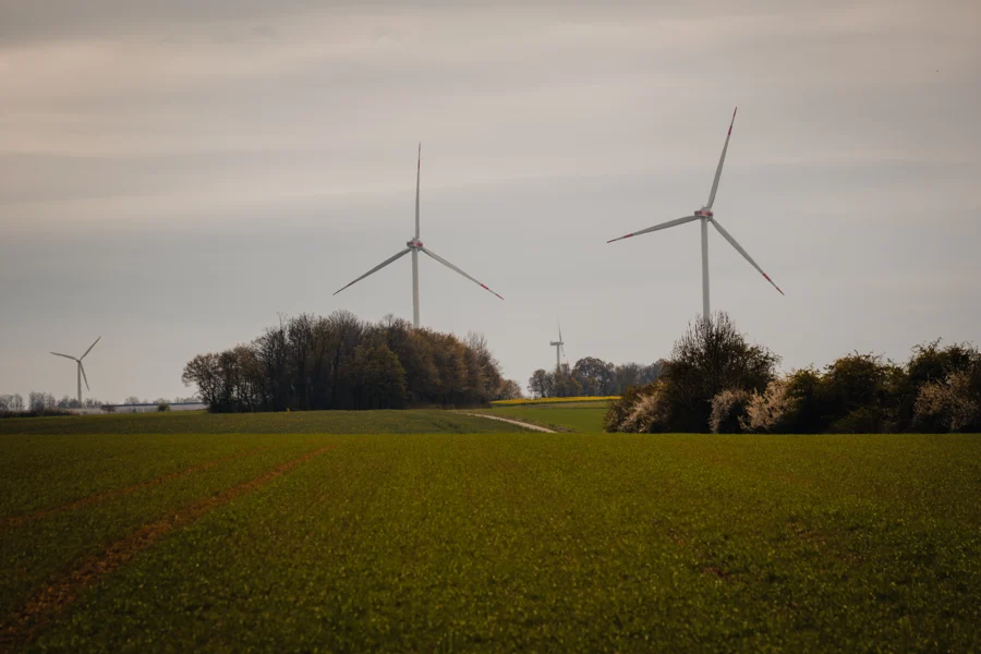 Windräder über grünen Feldern im weichen Abendlicht
