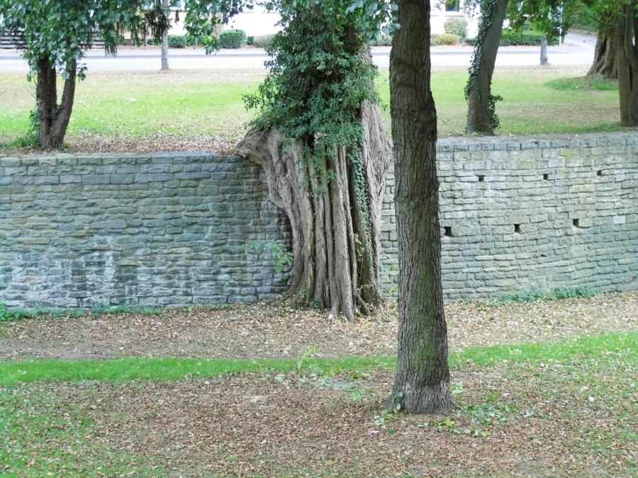Alter steinerner Mauerbogen und Bäume an einem Wassergraben