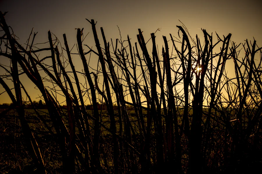 Sonnenlicht und Silhouetten im Abendhimmel