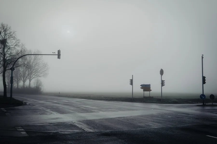 Straße und Bäume in dichtem Nebel und weichem Licht