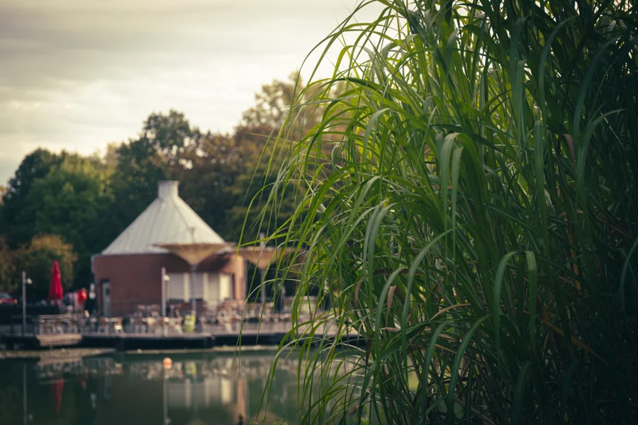 Pavillon zwischen Bäumen am Rand einer Wasserfläche