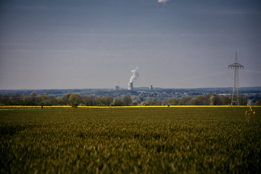 Felder und Pflanzen unter weitem Himmel