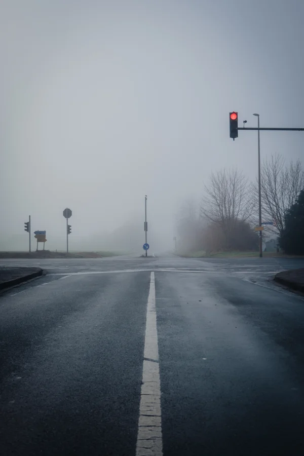 Straße und Bäume in dichtem Nebel und weichem Licht