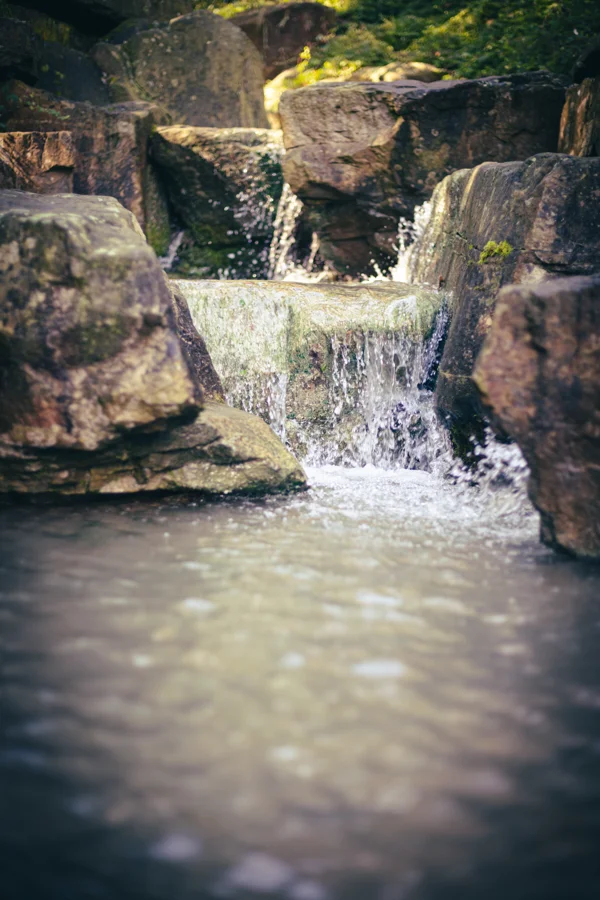 Gestaltete Wasserfläche und Brunnen in einer Parkanlage