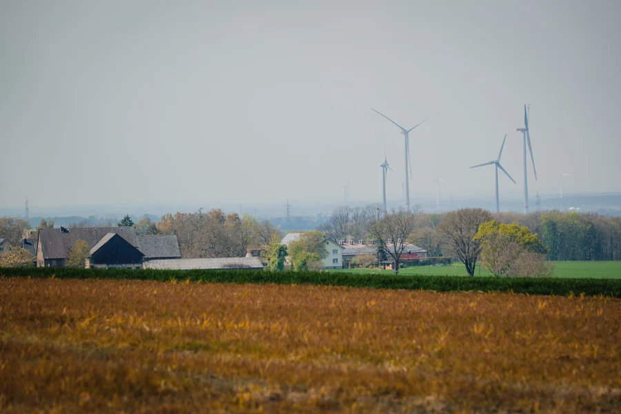 Windräder über Feldern im warmen Abendlicht