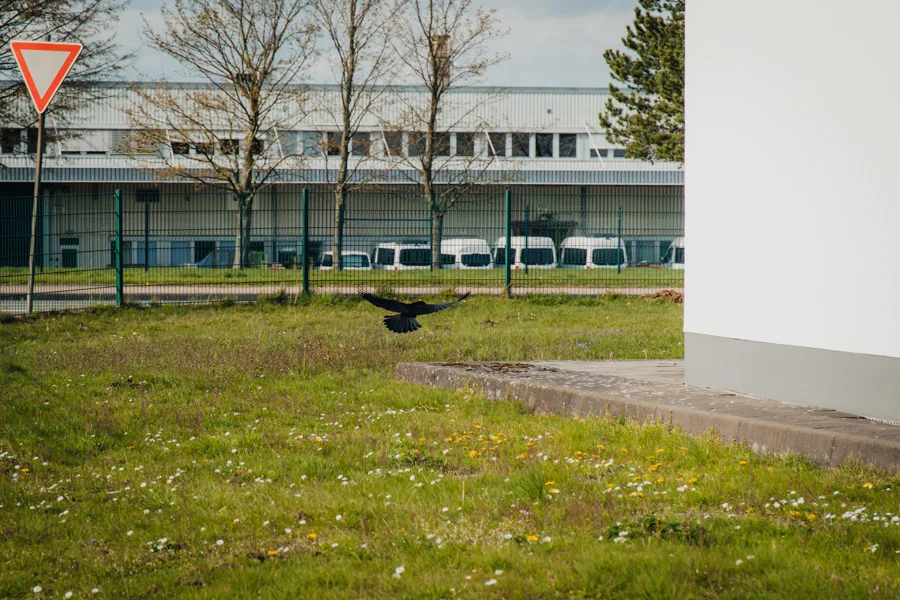 Moderner Gebäudekomplex hinter einer grünen Fläche