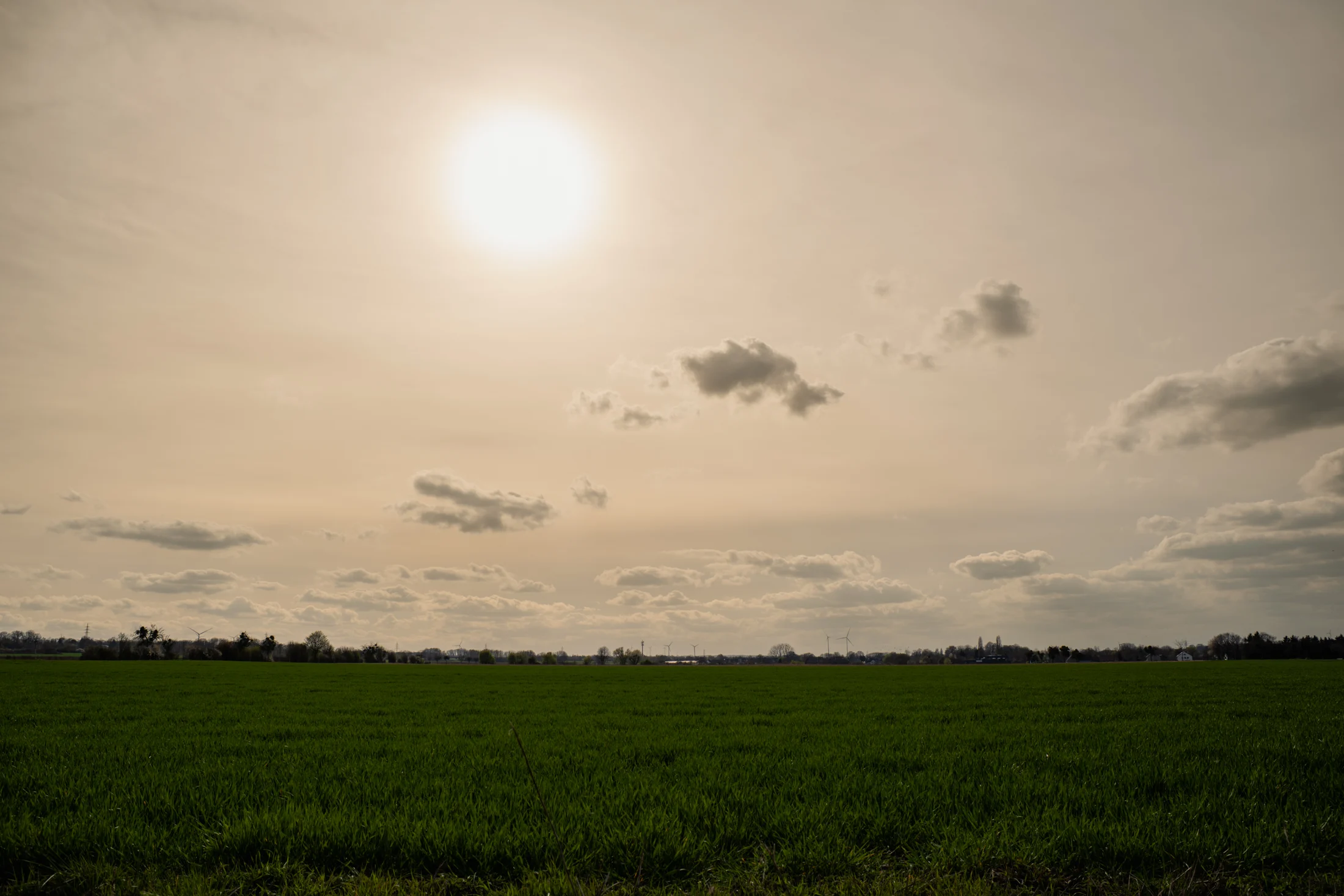Grüne Felder unter weitem Himmel mit sonnenbeschienenen Wolken
